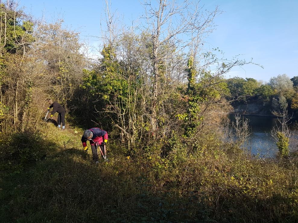 Newbold Quarry Warwickshire Wildlife Trust